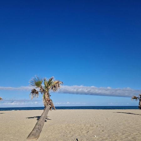 Appartement Front De Mer Le Barcarès المظهر الخارجي الصورة