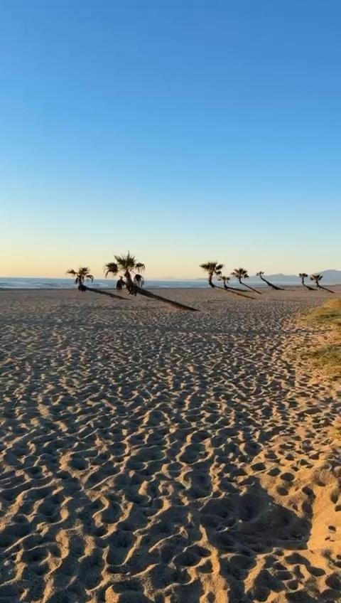 Appartement Front De Mer Le Barcarès المظهر الخارجي الصورة