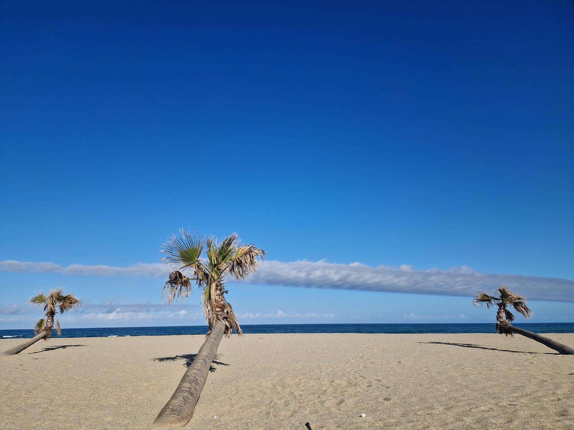 Appartement Front De Mer Le Barcarès المظهر الخارجي الصورة
